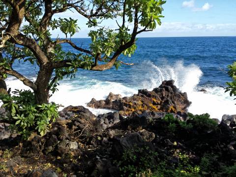 Artist Off the Grid - artistoffthegrid OnlyFans