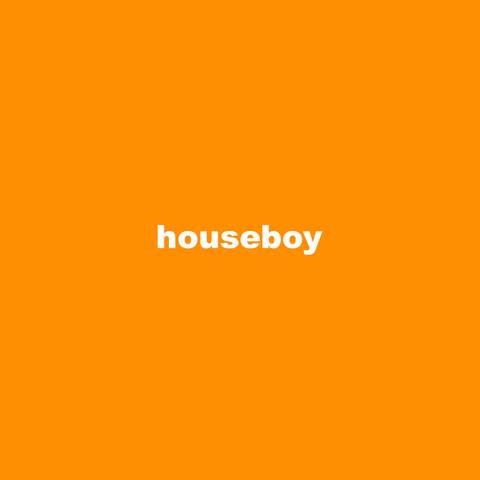 houseboyny