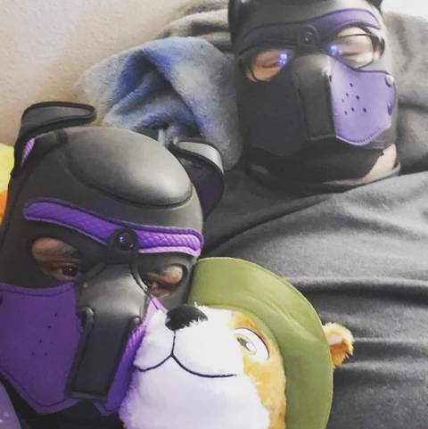 @pupcrash_and_lightning