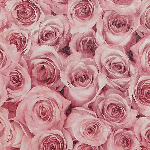 southernchick88 nude