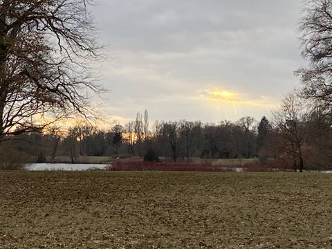 Greta - u125339225 OnlyFans