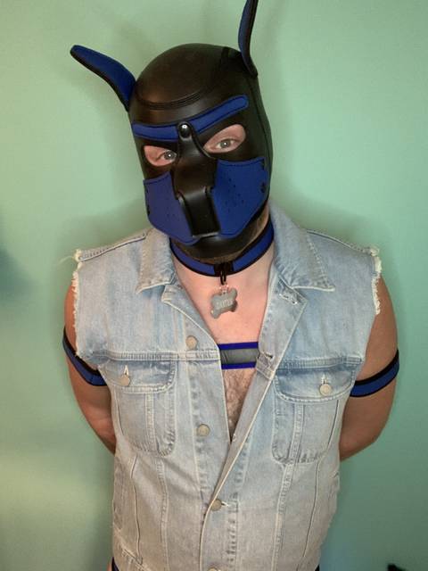 pup_daxter