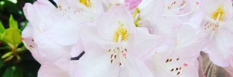 Darcie Vader - darcievader OnlyFans