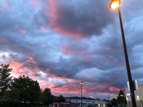 Elle - electricelle OnlyFans