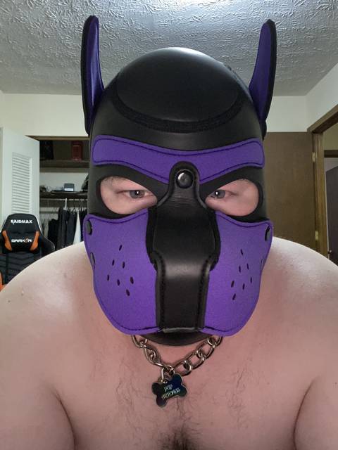 pup_artemus