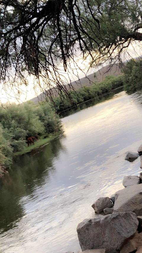 sextywriter29