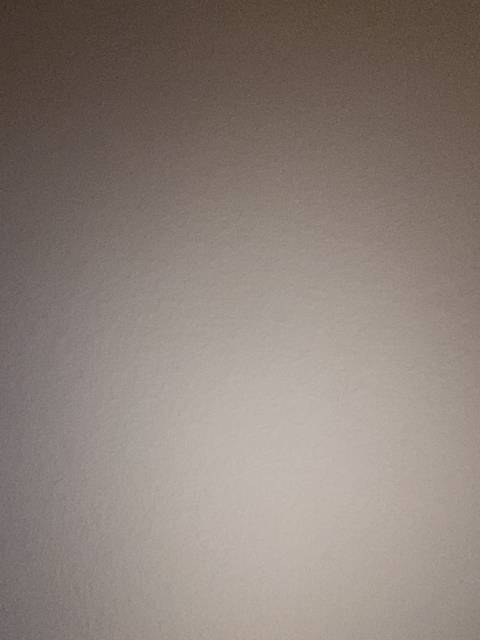 trawithafatty nude