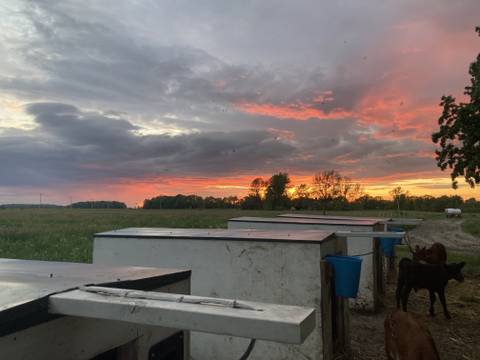 countryfeetliving nude