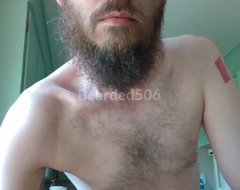 bearded506