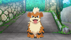 scrubbygrowlithe nude