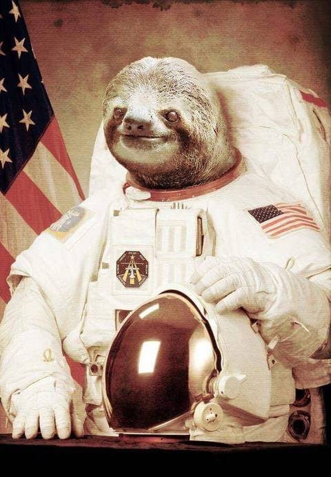 spacesloth