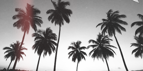 sophiewhitexoxo nude