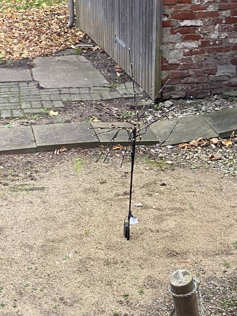 isabellemillerwilbemywif nude