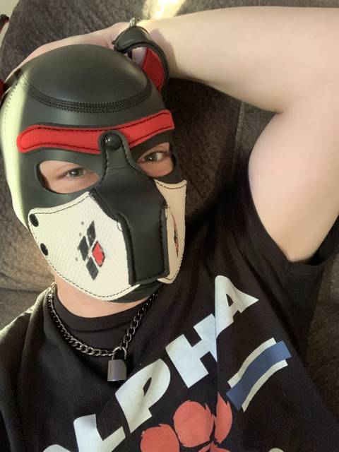 @fallen_pup