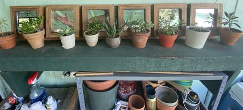 masaguaporfavor nude