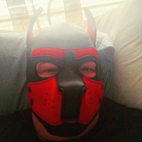 @red_pup_love