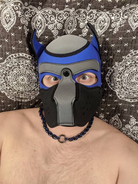 @pupgoose