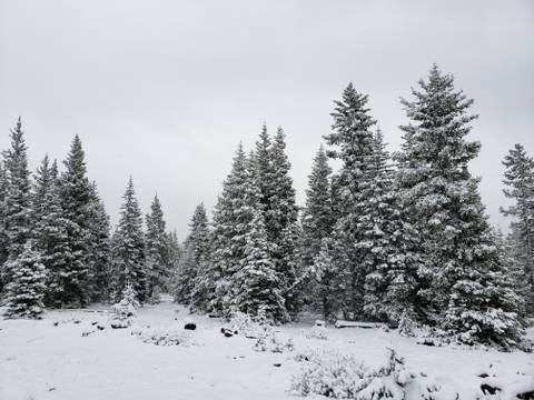 winterywitchy nude