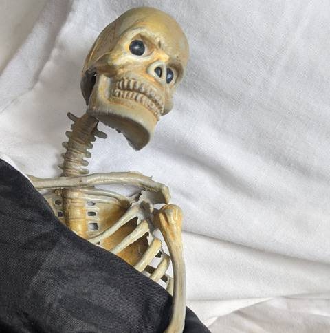 deadsexybones