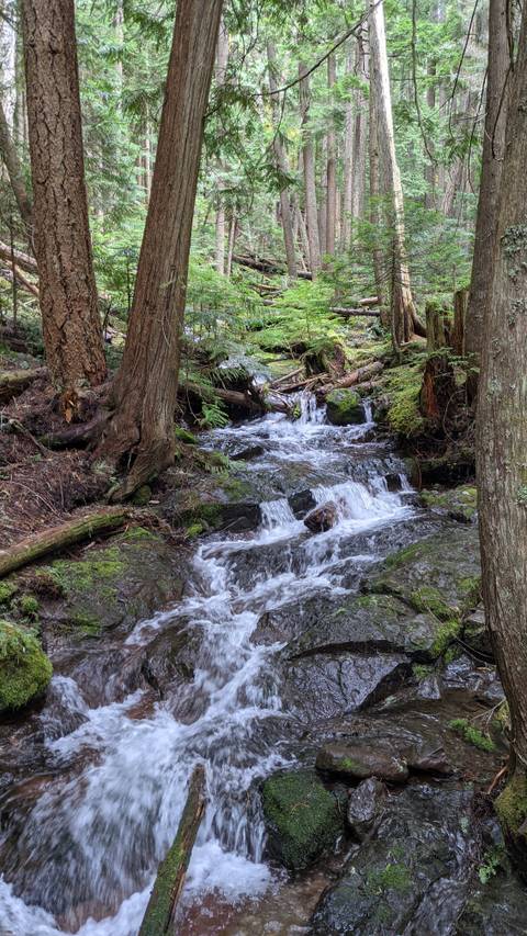 rufus_torchbeard nude