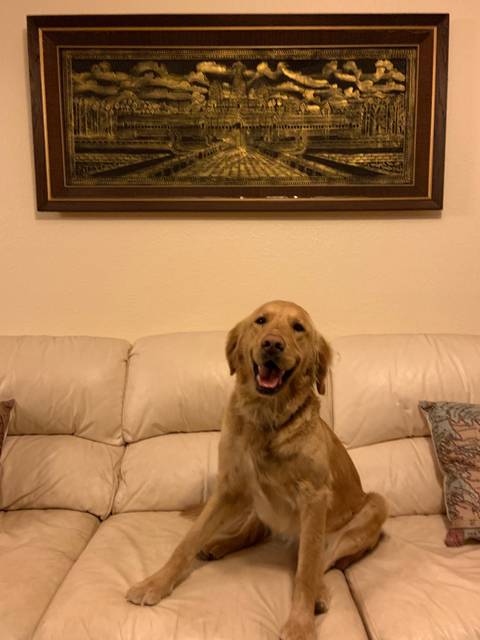 charleethegolden