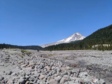 Moxie - missmoxieheart OnlyFans