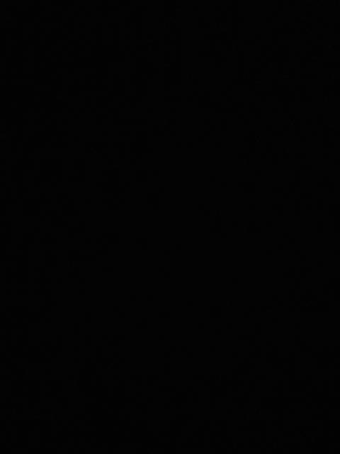 elizabethjademn nude