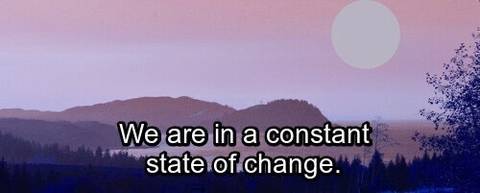 Lynx - lynxjourney OnlyFans