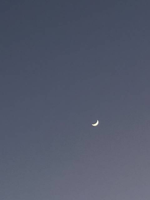 maddsneedsmoney nude