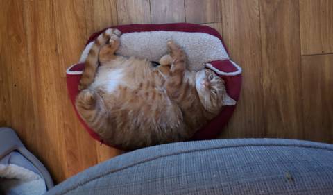 Donnie Bunz - donnie_bunz OnlyFans