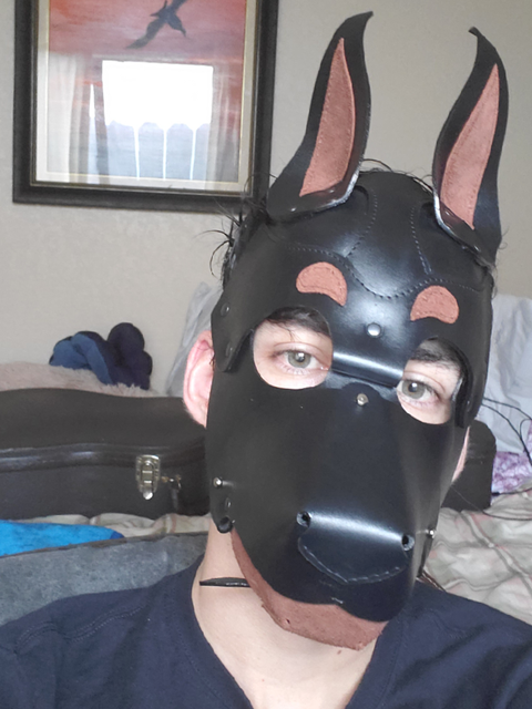 @indigopup