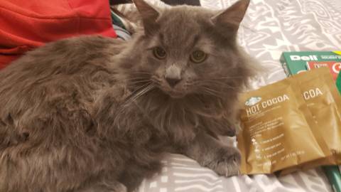 smokeyvenus_official nude