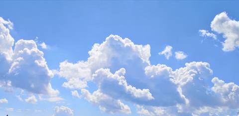 Tony - strange_animal OnlyFans