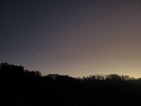 moonbeambabyb