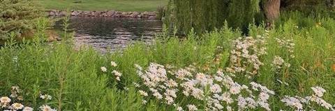 Lorelei's - naturalfeetbylorelei OnlyFans