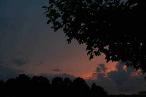 something_secret nude