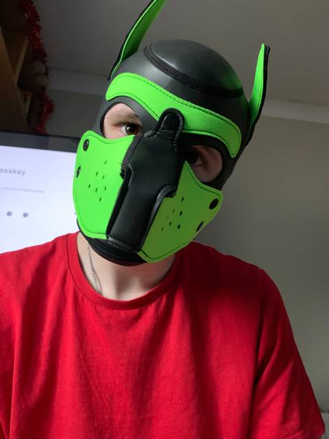 pup_oscar