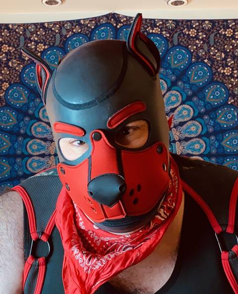 bearpupgaymer