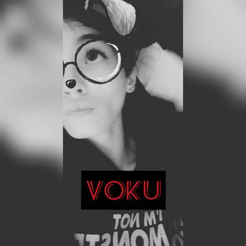 voku.vii