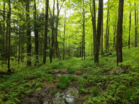 wanderbout360art nude