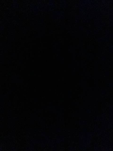 stanthepenisman nude