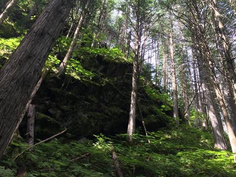 yourneighborhoodbbwgirl nude