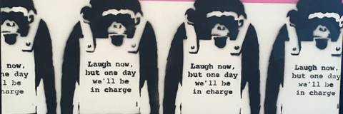 Lizz Tayler - lizztaylerxoxo OnlyFans