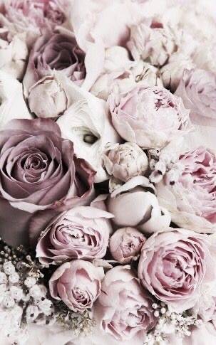 addie_the_baddie nude