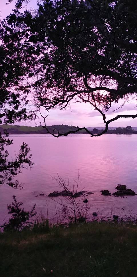 apprenticevannomad nude