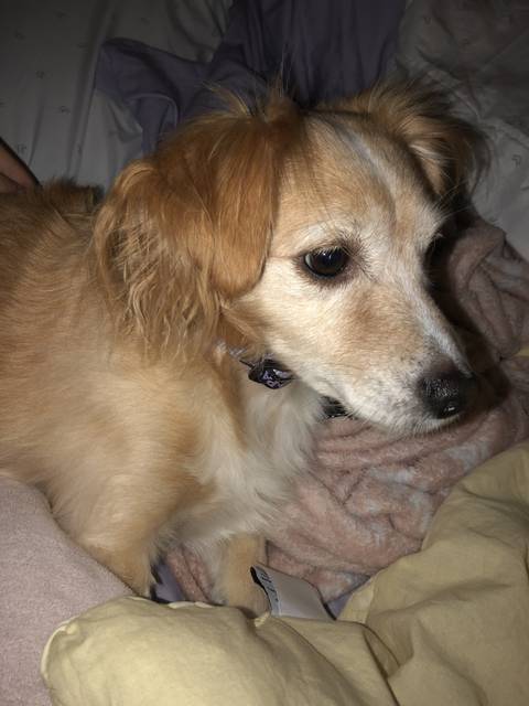 Anna - u180166776 OnlyFans