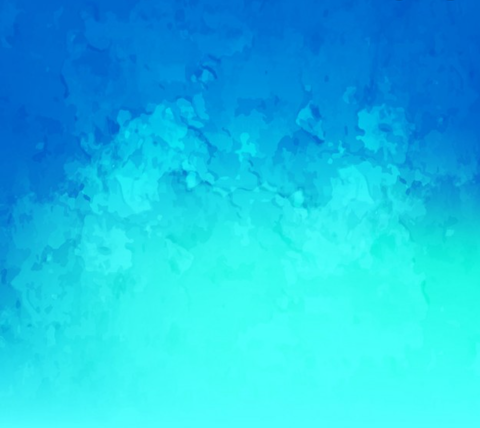 Haley Ann Tolbert - u102462471 OnlyFans