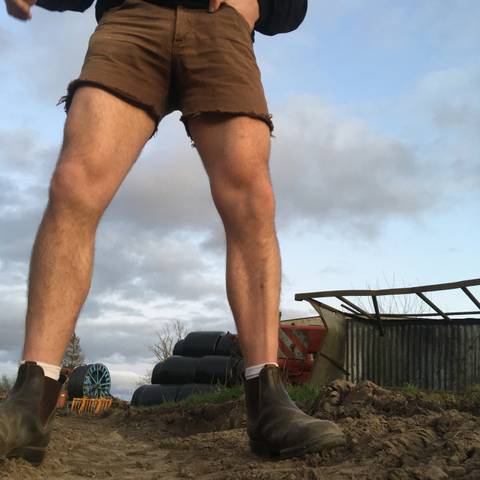 thefarmerslegs