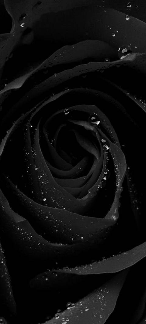 Cyn - cynfulfeet OnlyFans