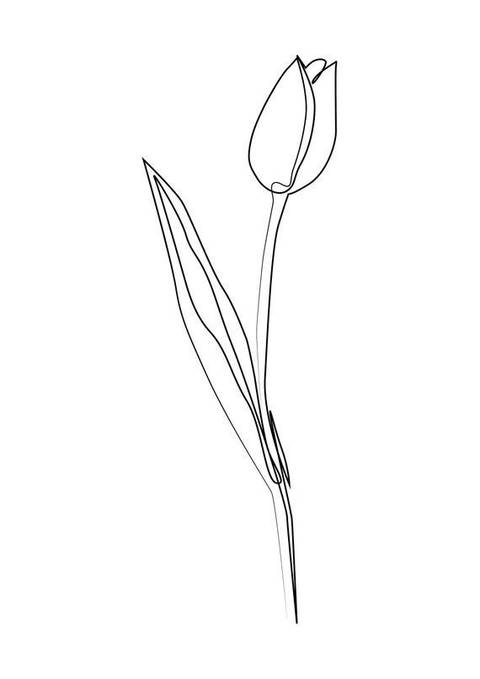 ssscorpiocookie nude